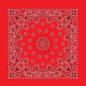 NT4401 Bandana Paisley Red