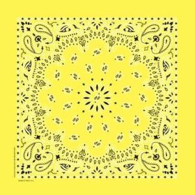 NT4403 Bandana Paisley Yellow