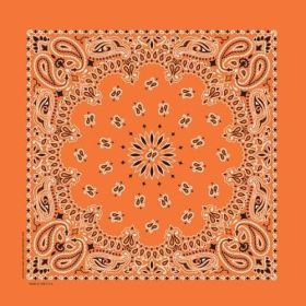NT4404 Bandana Paisley Orange