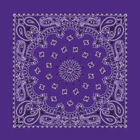 NT4406 Bandana Paisley Purple