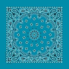 NT4412 Bandana Paisley Turquoise