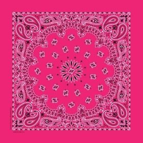 NT4413 Bandana Paisley Hot Pink