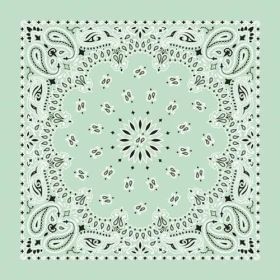 NT4414 Bandana Paisley Mint