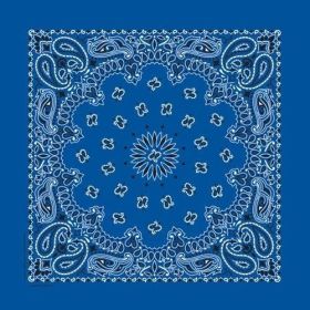 BD2501 Bandana Paisley Royal