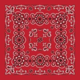 BD2507 Bandana Texas Paisley Red [27" x27"]